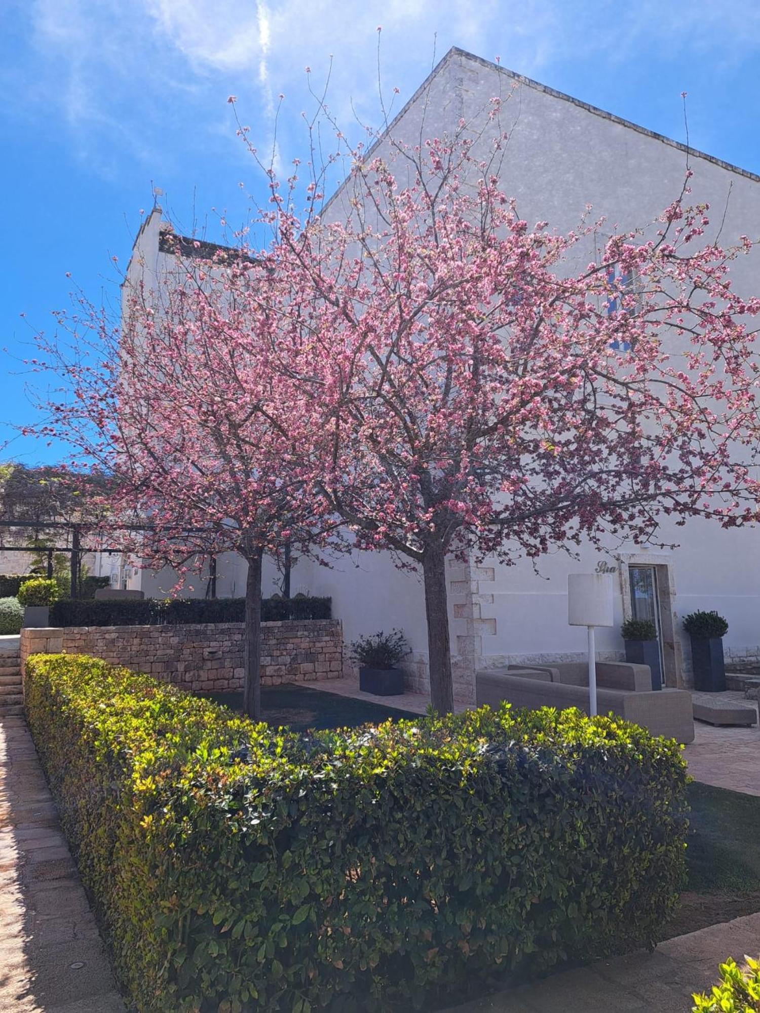 Relais Il Santissimo Hotell Turi Exteriör bild